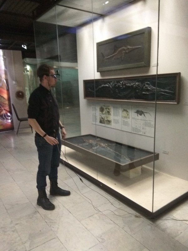 Айтрекинг-исследования в Дарвиновском музее