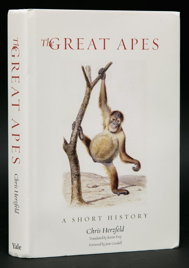 Издание о человекообразных приматах «The Great Apes» автора-приматолога Крис Херцфельд