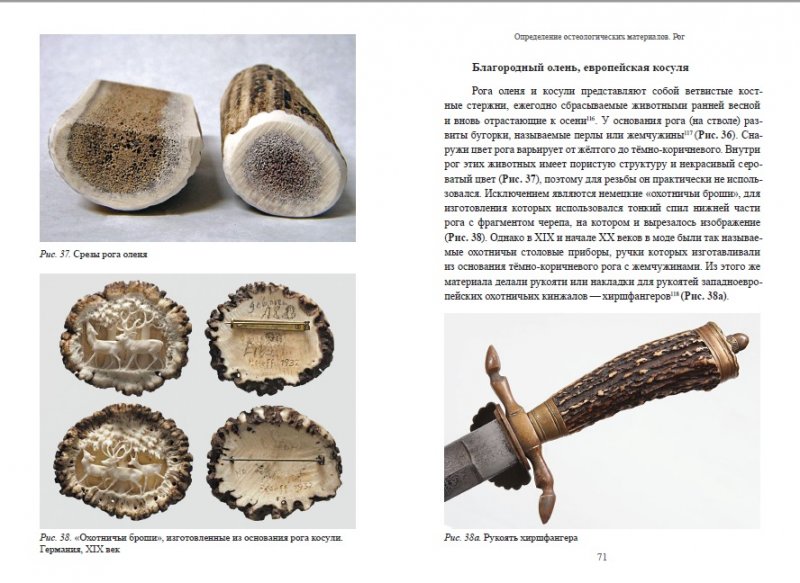 Определение остеологических материалов (кости и рога) в художественных и декоративно-прикладных изделиях на основе коллекций Государственного Дарвиновского музея