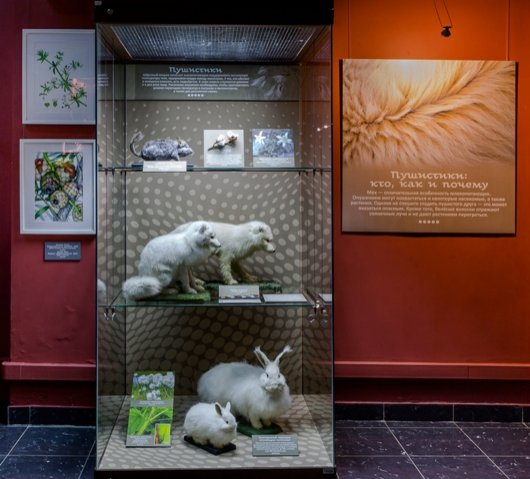 Перердвижная выставка Растения и животные: параллельные миры