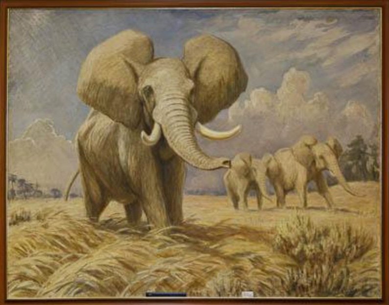 В. А. Ватагин. Слоны в саваннах. 1941  Холст, масло
