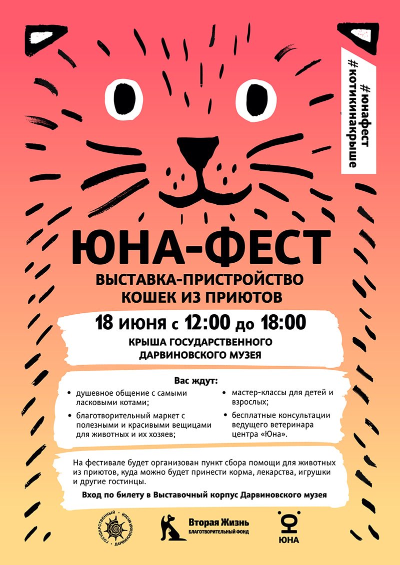 Юна-Фест - выставка-пристройство бездомных кошек