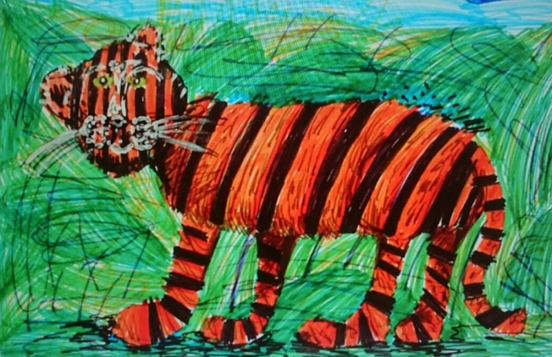 Амурский тигр. Никита Симонов