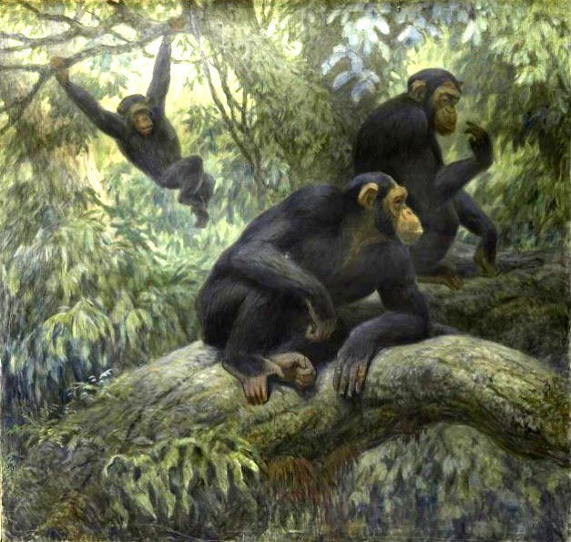 В. А. Ватагин. Шимпанзе в лесу. 1939  Холст, масло