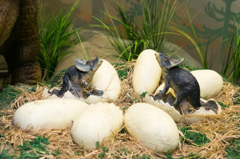Рептилии мела: гнездо