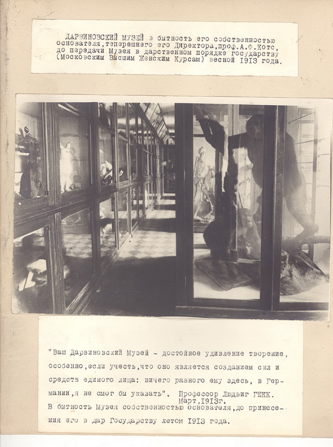 Помещение Дарвиновского музея в новом здании МВЖК. 1913 г.