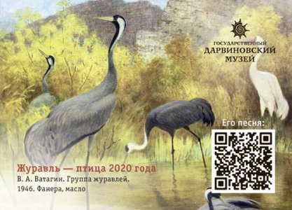 Поющие календарики "Птицы Москвы" 2020