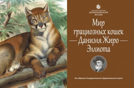 Комплект открыток "Мир грациозных кошек Даниэля Жиро Эллиота"