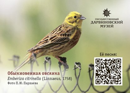 Поющие календарики "Птицы Москвы" 2022