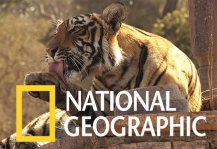 Документальные фильмы National Geographic