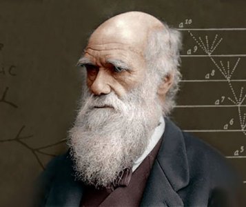 Квест «Рождение и эволюция теории Дарвина»