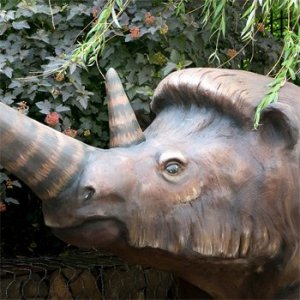 Шерстистый носорог Coelodonta antiquitatis