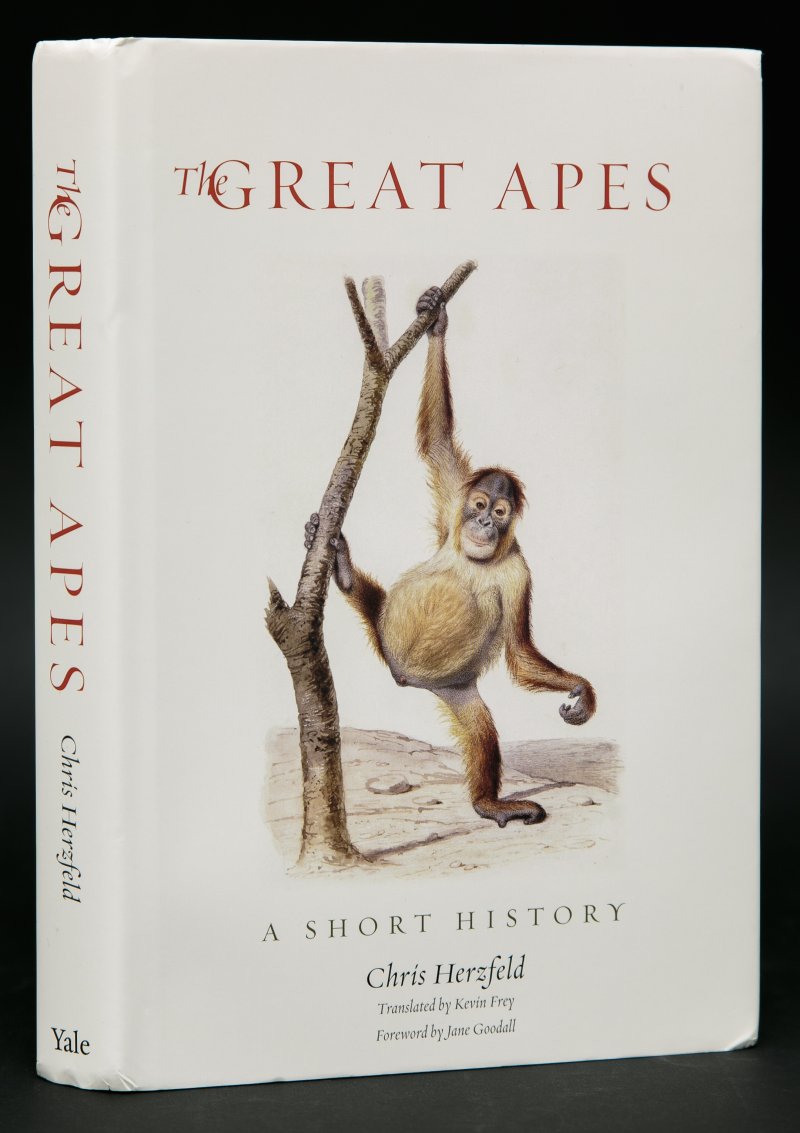 Издание о человекообразных приматах «The Great Apes» автора-приматолога Крис Херцфельд