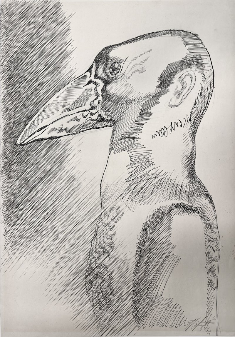 Полёт: Портрет дрозда