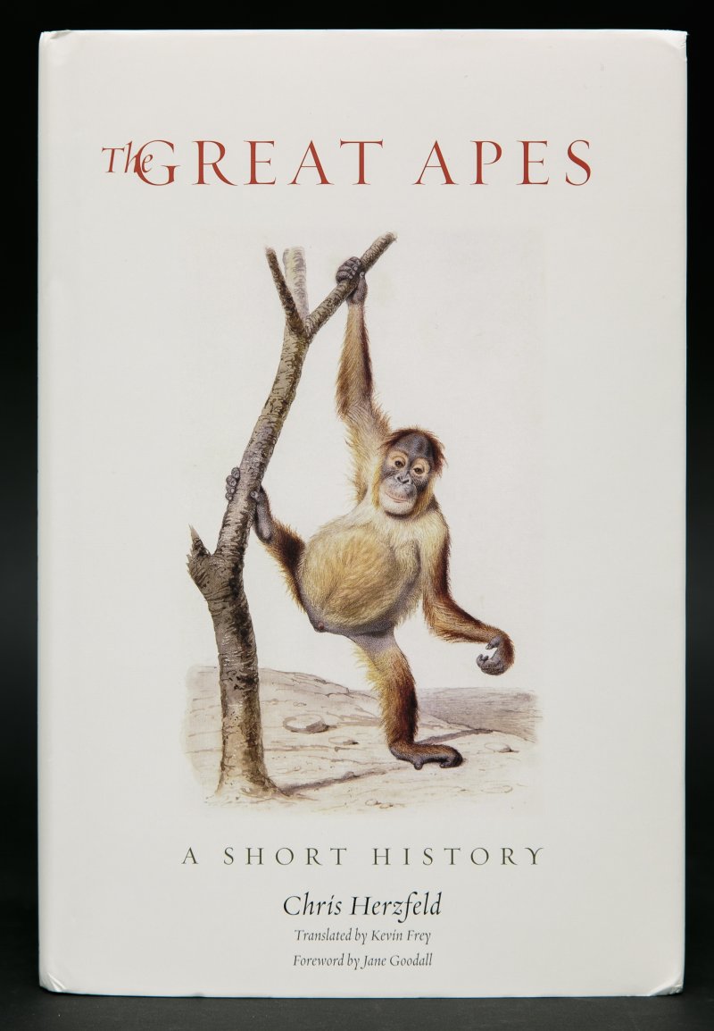 Издание о человекообразных приматах «The Great Apes» автора-приматолога Крис Херцфельд