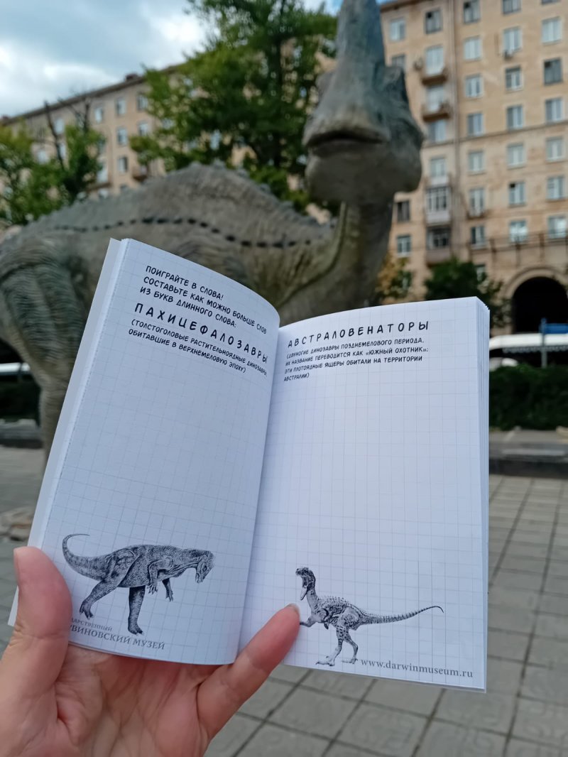 Блокнот для скучных совещаний