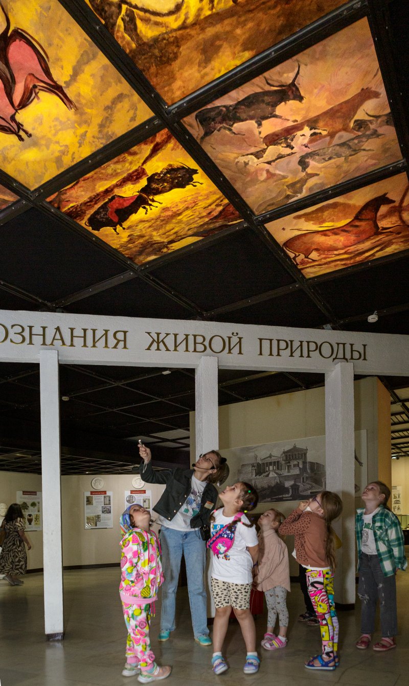 домашние