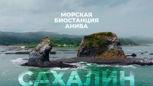 Морская биостанция Анива, Сахалин 