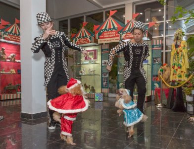 Открытие выставки «Цирк, цирк, цирк!» 