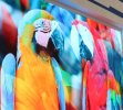 Конференция «Digital Signage  и мультимедиа технологии для музейных и выставочных пространств» 