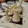 В Дарвиновском музее разыграли «Кубок Дарвина»: шахматы и древние гиганты