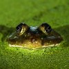 В Дарвиновском музее встретили праздник «Всемирный день воды»