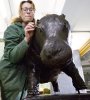 Успех фотографа Дарвиновского музея на Международном фотоконкурсе «Музей. Диалог»