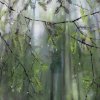 Вернисаж выставки «Заповедный дневник»