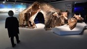 Берестяная лодка у стен Кремля