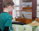 В музее прошел Международный день птиц
