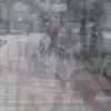 6 Московская международная биеннале молодого искусства в Дарвиновском музее