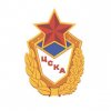 Дети из спортшкол ЦСКА по гимнастике, боксу и кикбоксингу в гостях у Дарвиновского музея