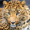 "Всемирный день защиты животных" отпраздновали в Дарвиновском музее