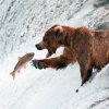 Праздник закрытия выставки "О рыбаках и рыбке"