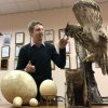 Обновлено занятие «Чудо в перьях» в рамках праздника «День рождения в музее»! 