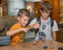 «Волчья игротека» на выставке «О хищнике сером замолвите слово»