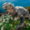 Состоялся вечер-встреча «Командоры. Под парусом за мечтой»