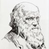 Дар музею от К. С. Сухаревой – портрет Ч. Дарвина, вышитый шёлковыми нитями