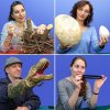 Развивающие онлайн-занятия для детей