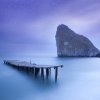 В Дарвиновском музее наградили победителей фотоконкурса «Дикая природа России-2019»