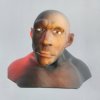 НОВИНКА в экспозиции! Интерактивный 3D-аватар неандертальца